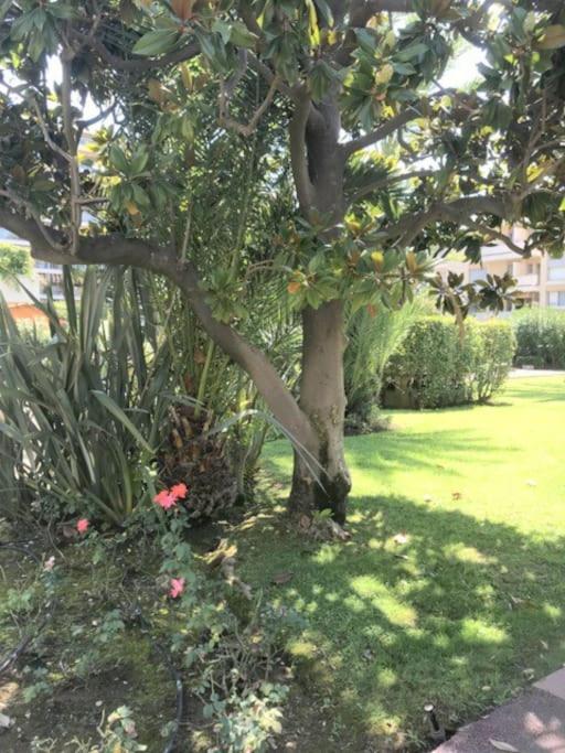 Apartamento Studette Pointe Croisette - Axelle Loc'appart Cannes