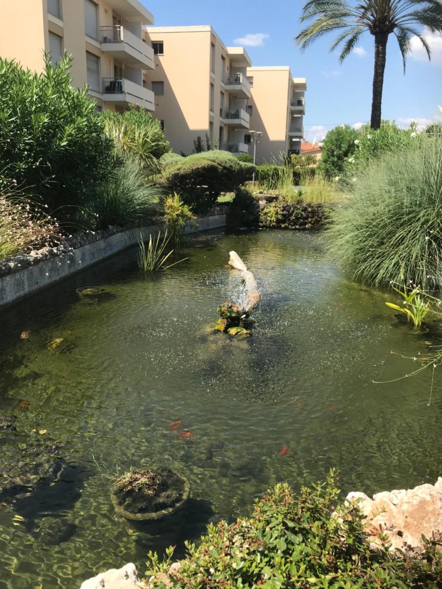 Studette Pointe Croisette - Axelle Loc'appart Apartment