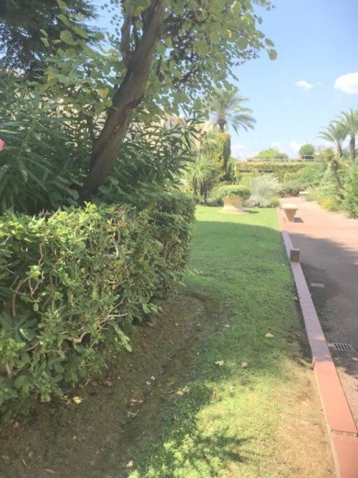 Studette Pointe Croisette - Axelle Loc'appart Apartment Cannes