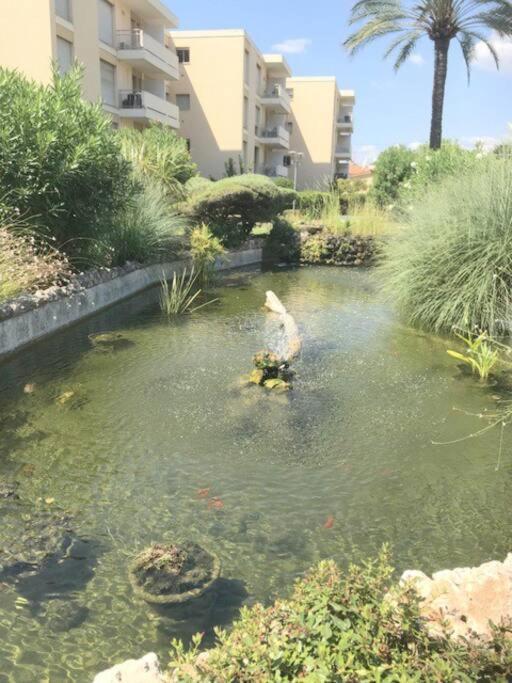 Apartment Studette Pointe Croisette - Axelle Loc'appart